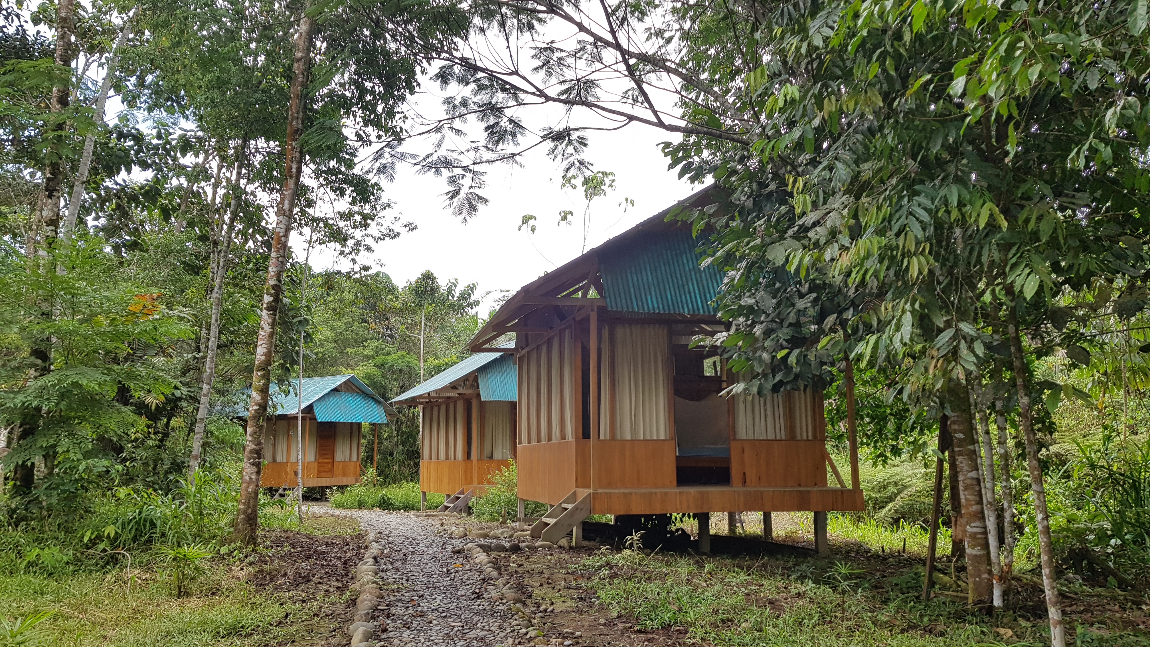 rainforest lodge