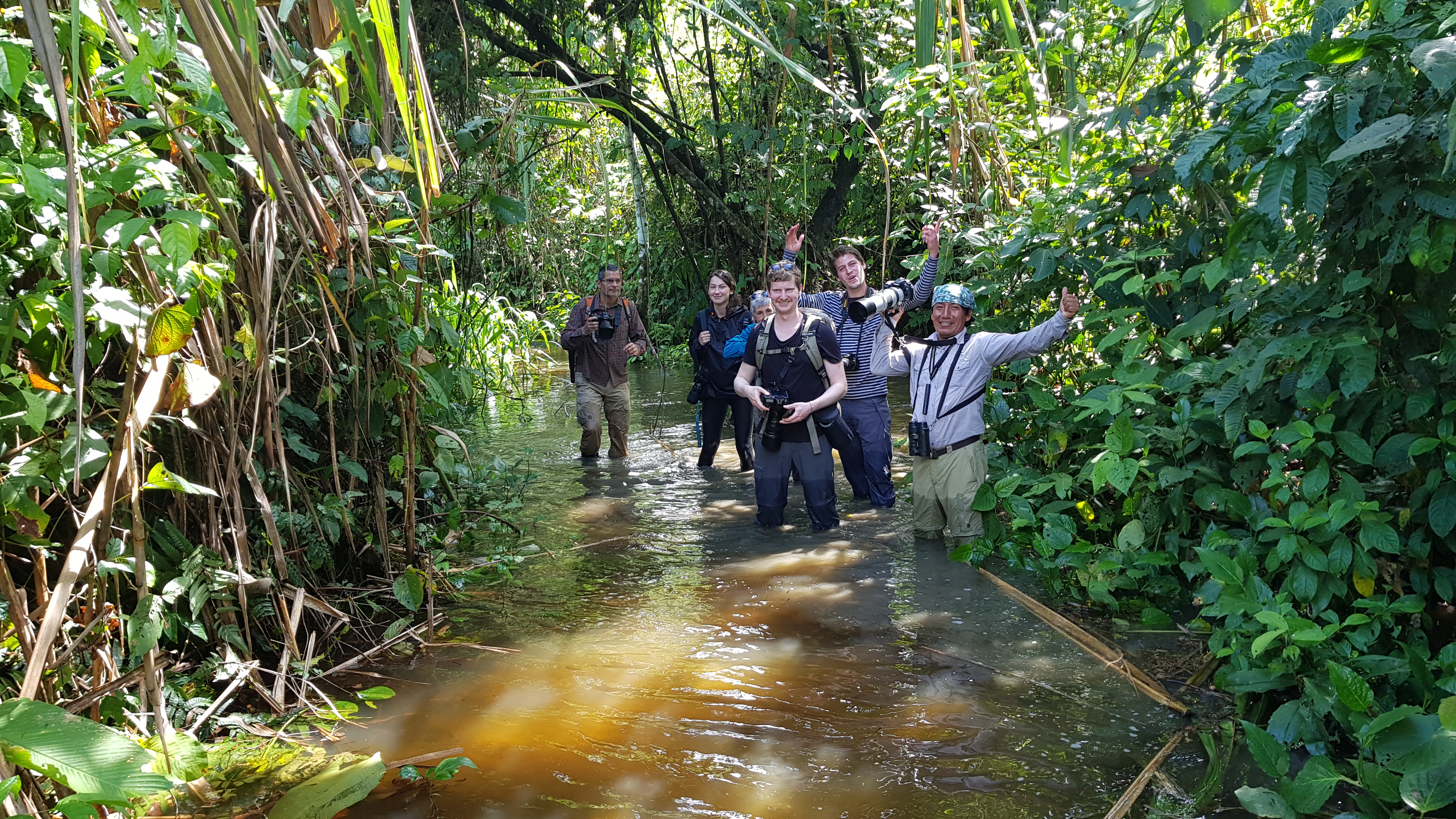 Jungle walk - Peru.