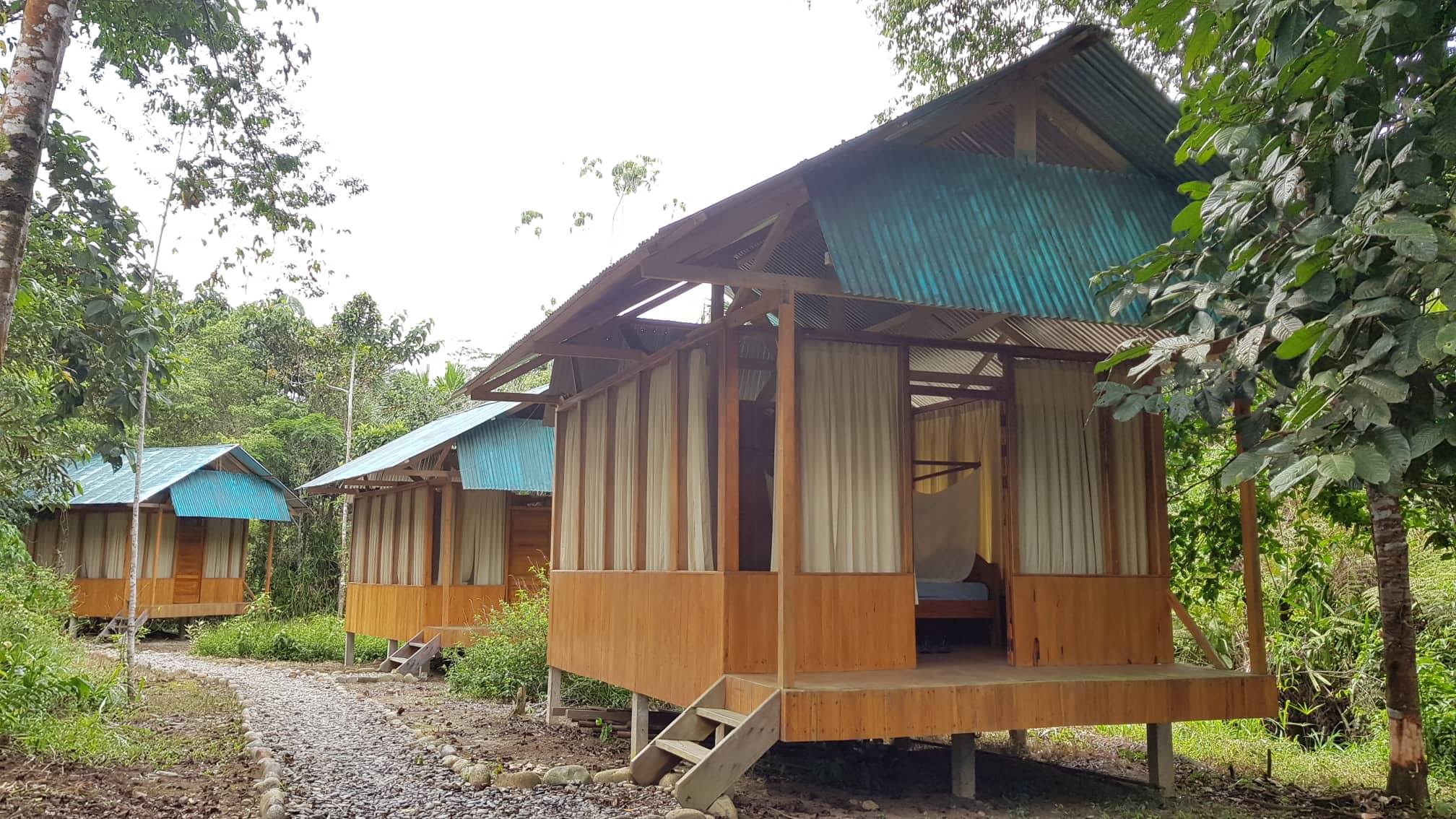 rainforest lodge